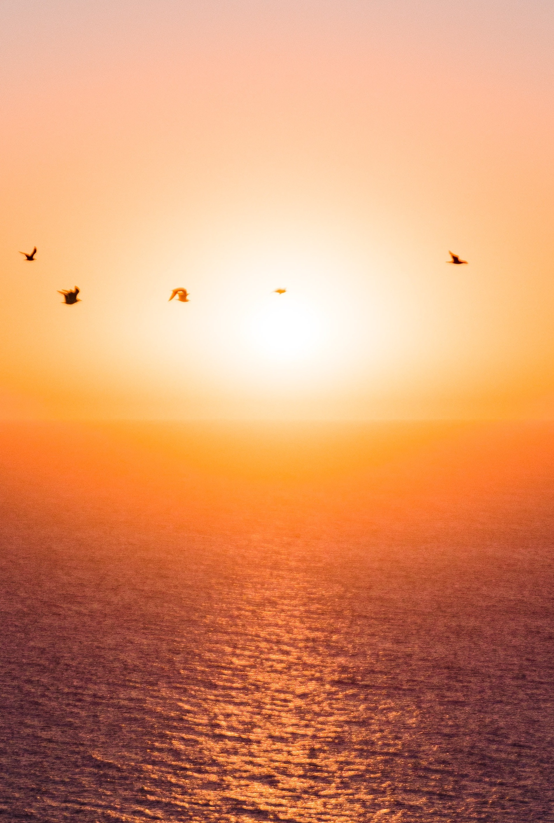 theodor-vasile-P3SWMc6wLOQ-unsplash-3-1