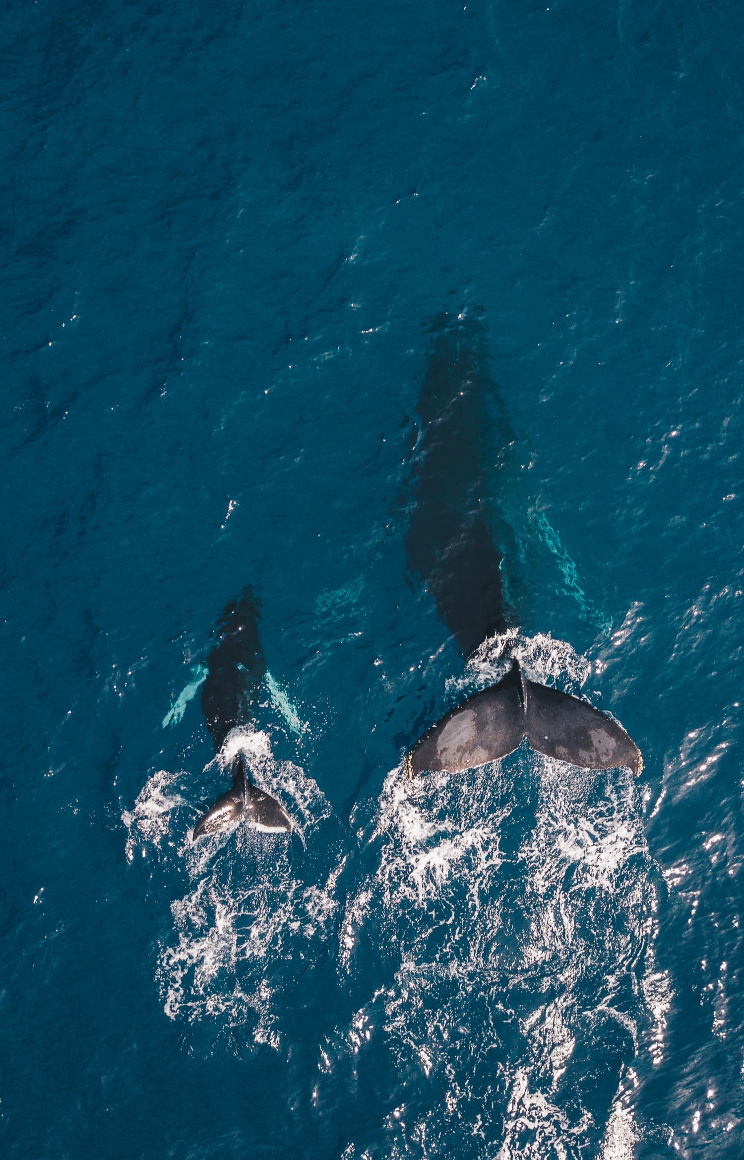 guille-pozzi-PO0UHx-5mHo-unsplash-1
