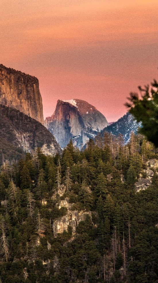 ben-petchel-uY50b2dqKUQ-unsplash-1