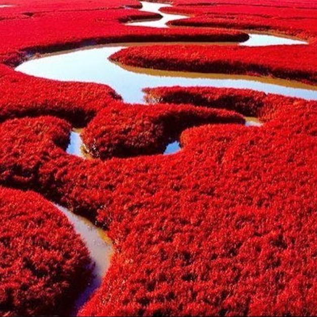 red beach china-1