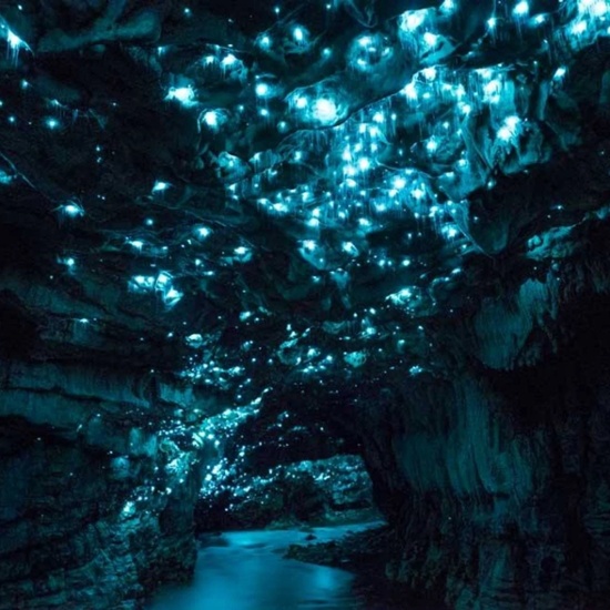 Waitomo Caves-1